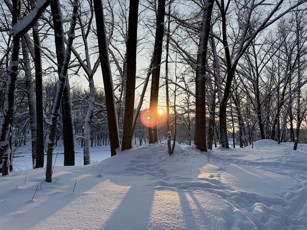 Photograph by Алиса Чугунова