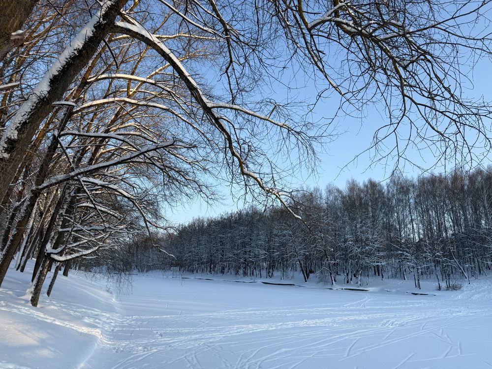 Photograph by Алиса Чугунова