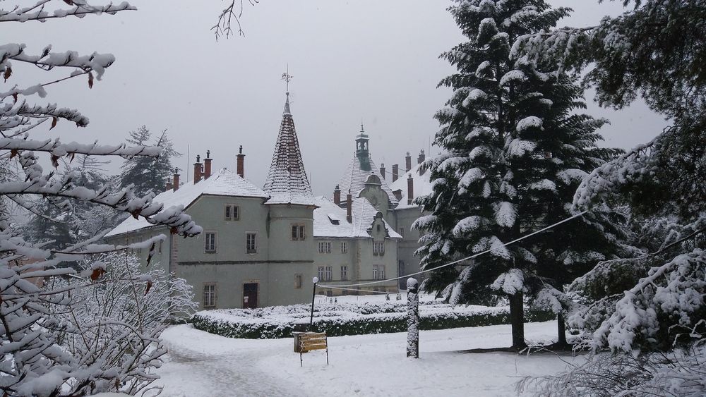 Photo #13079993