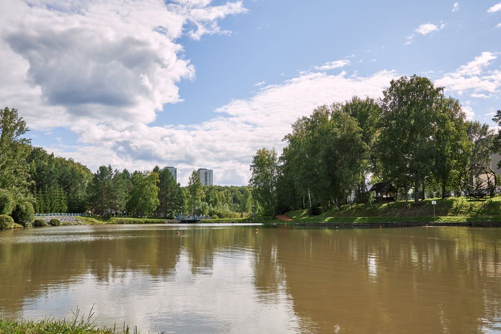 Фотография автора Алена Скокова