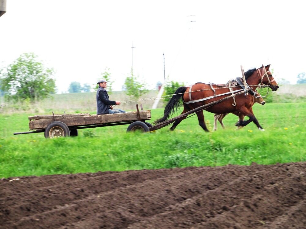 Photograph by Лариса Басова