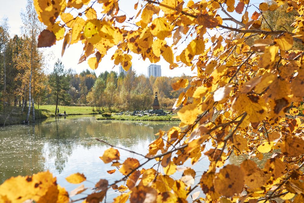 Фотография автора Алена Скокова