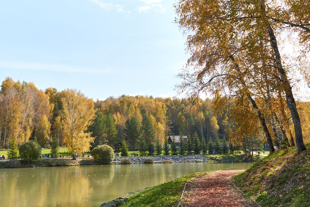 Фотография автора Алена Скокова