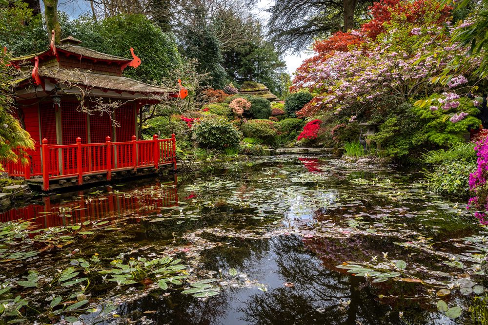 Photograph by Людмила Аксенова