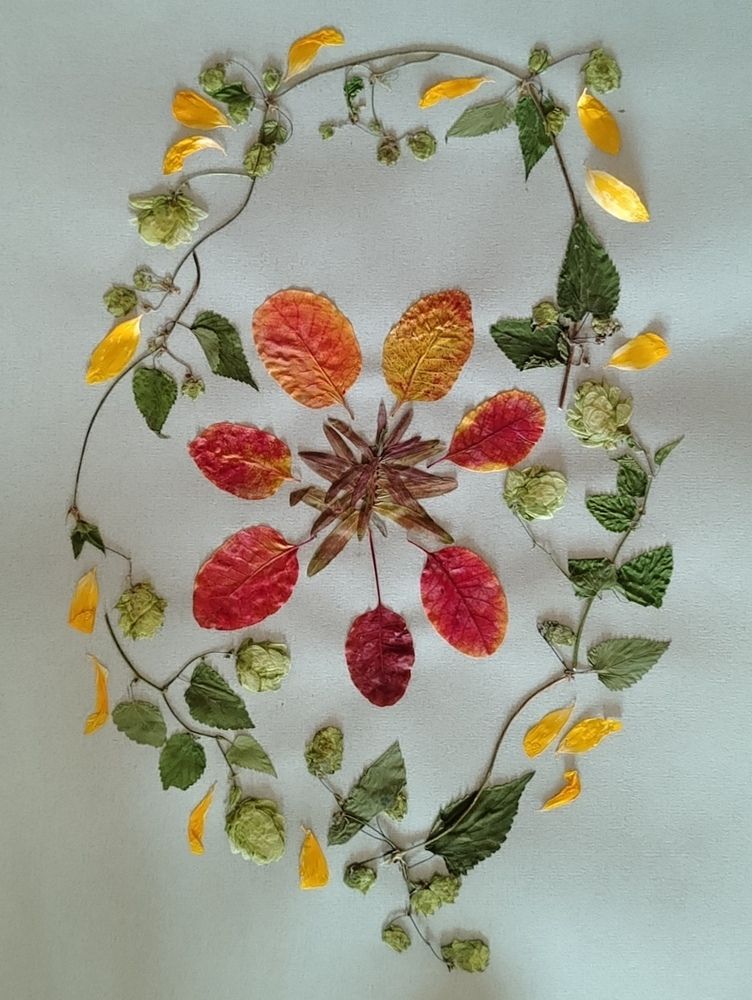 Photo #13080014