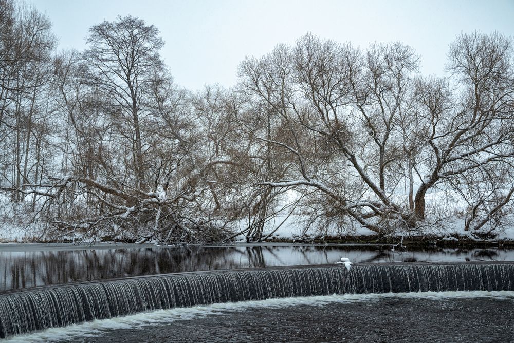 Photograph by Дарья Кончакова