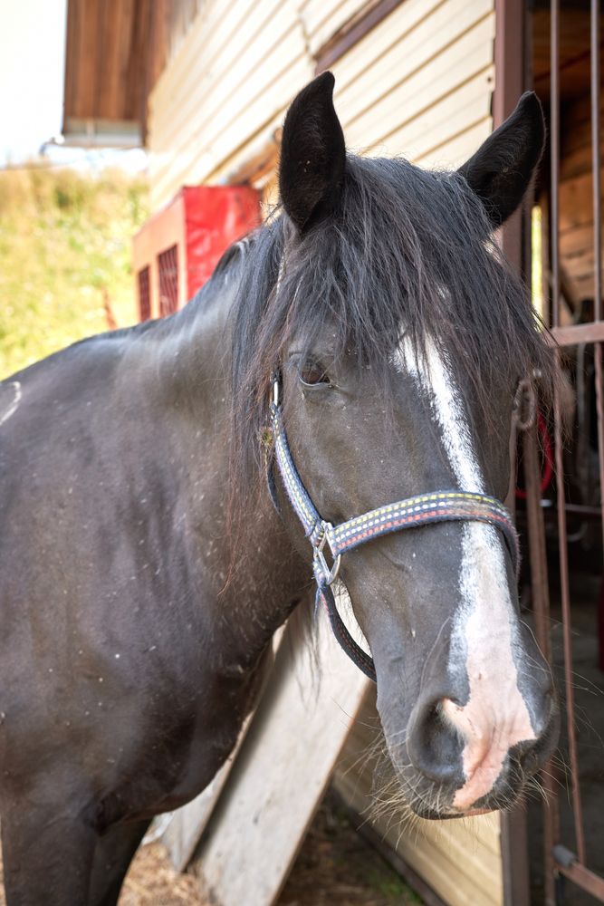 Фотография автора Алена Скокова
