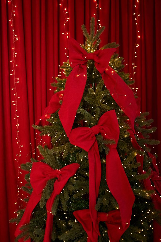 Photograph by Елена Пономарева