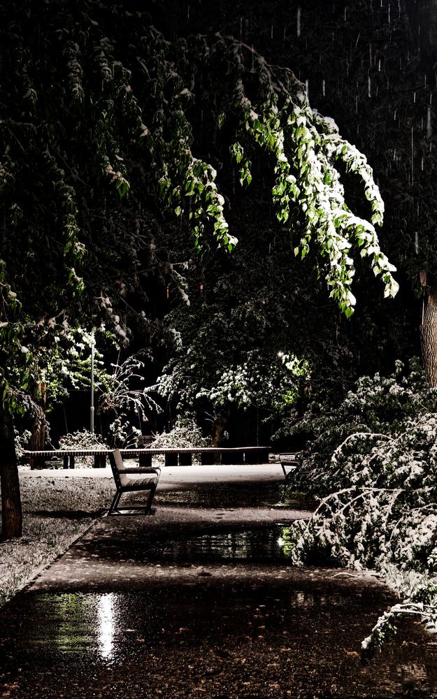 Photograph by Владислав Афанасьев