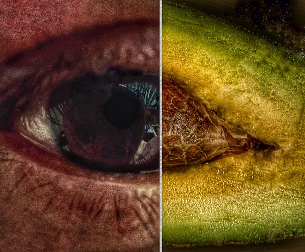 Photograph by Юлия Чернышёва