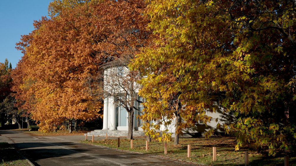 Photograph by Владимир Белобаба