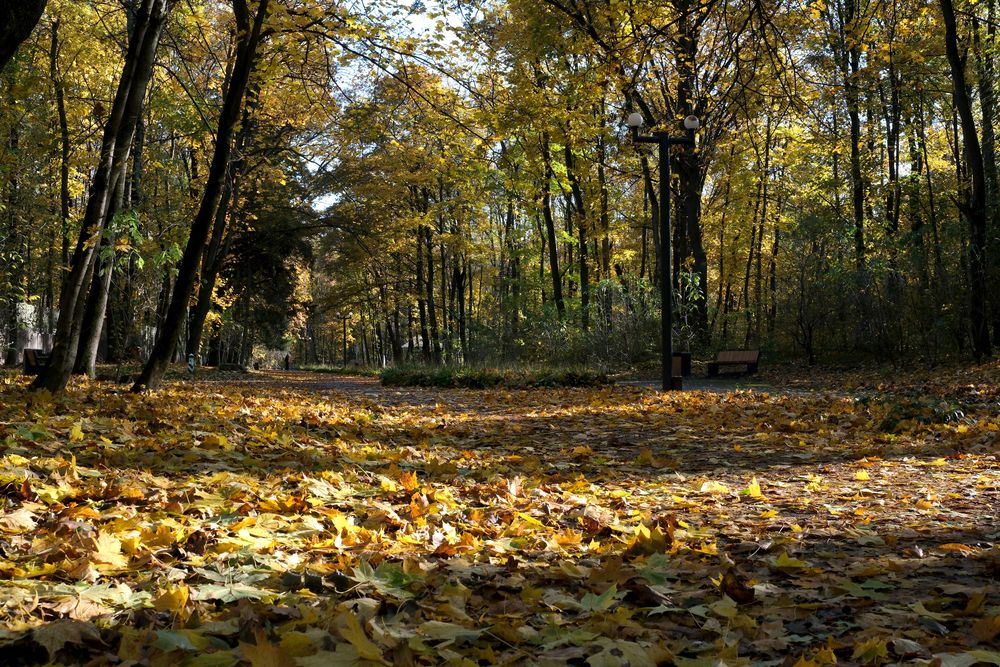 Photograph by Владимир Белобаба