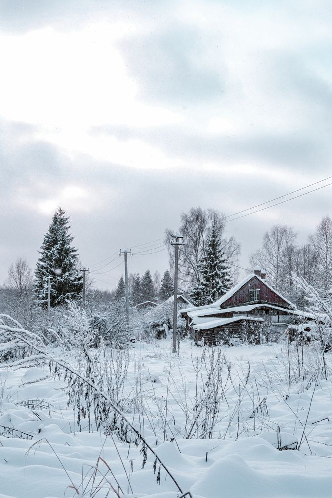 Фотография автора Медведева Елена