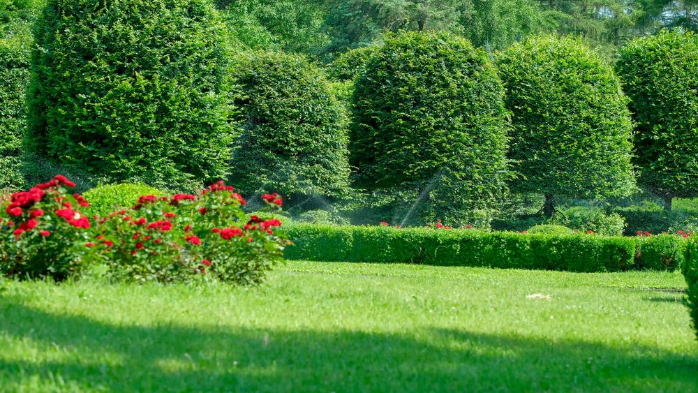 Photograph by Владимир Белобаба