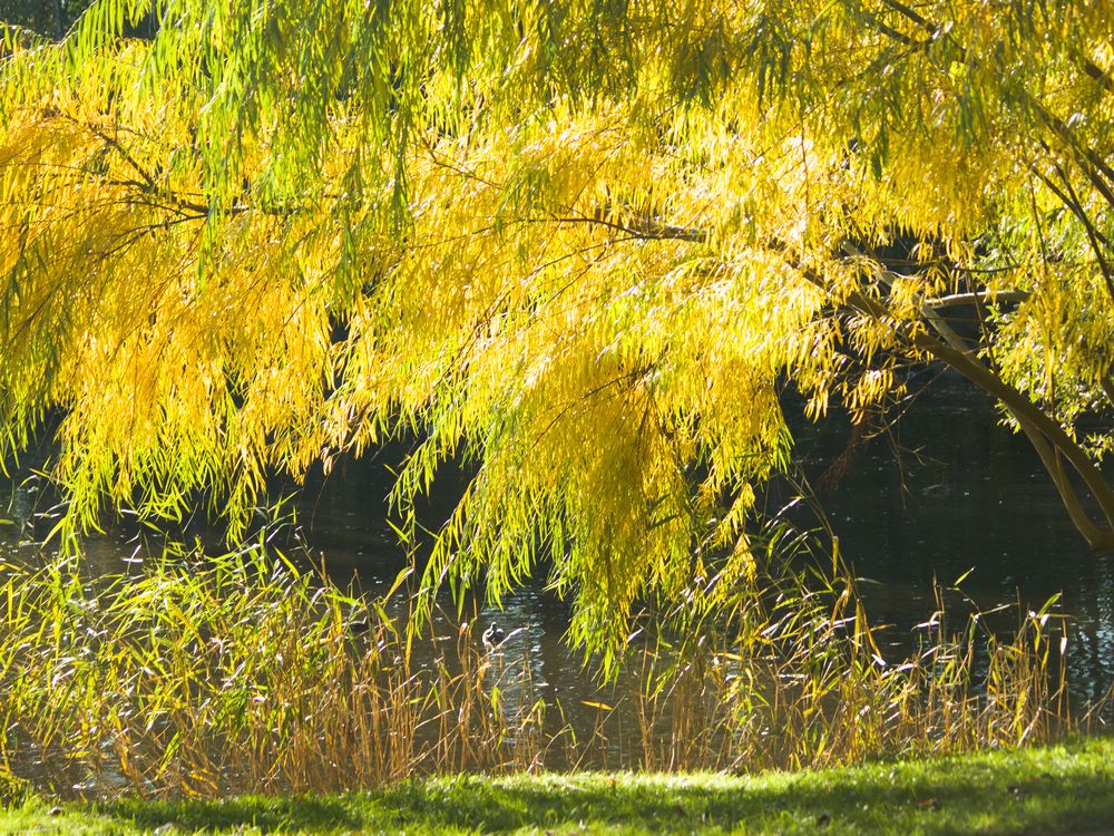 Photograph by Надежда Надежда