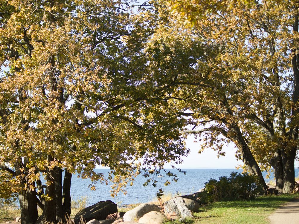 Photograph by Надежда Надежда