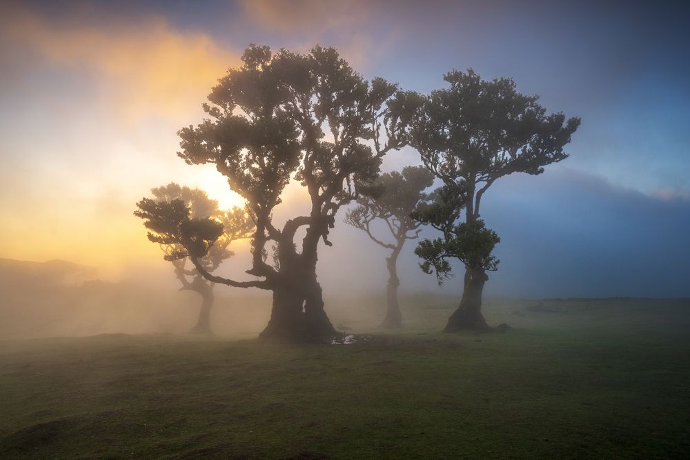 Photograph by Jabi Sanz