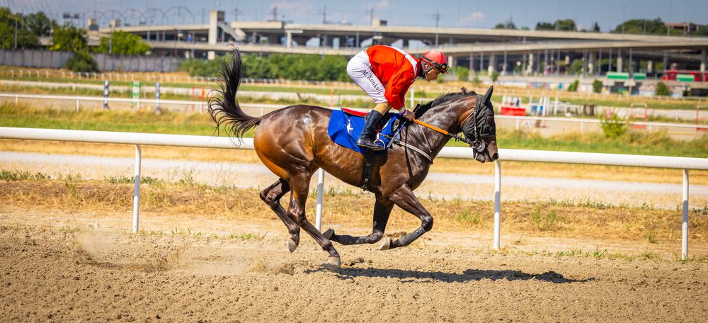 Photograph by Andrej Nihil