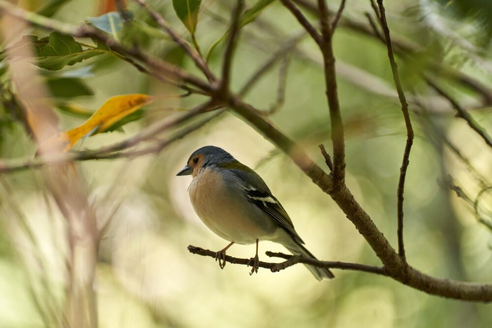 Photograph by Natalie Liedtke