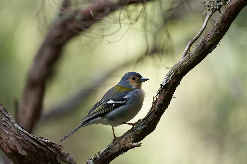 Photograph by Natalie Liedtke