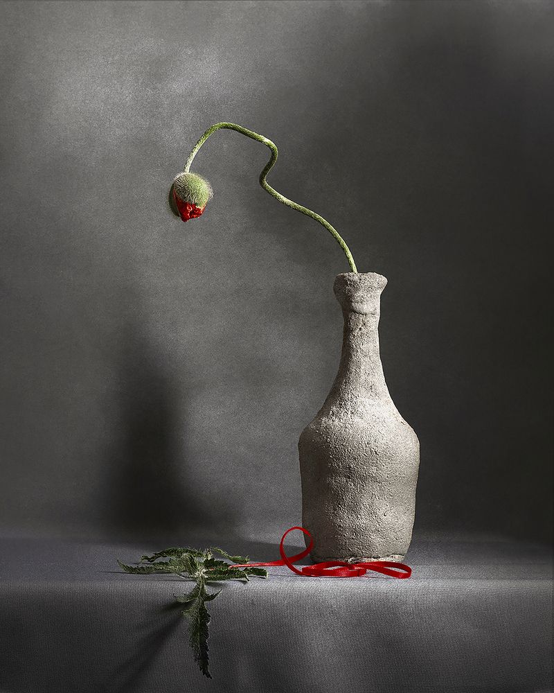 Photograph by Светлана Давыдова