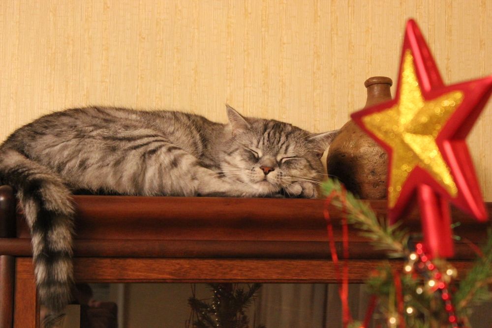 Photograph by Nikita Zorin