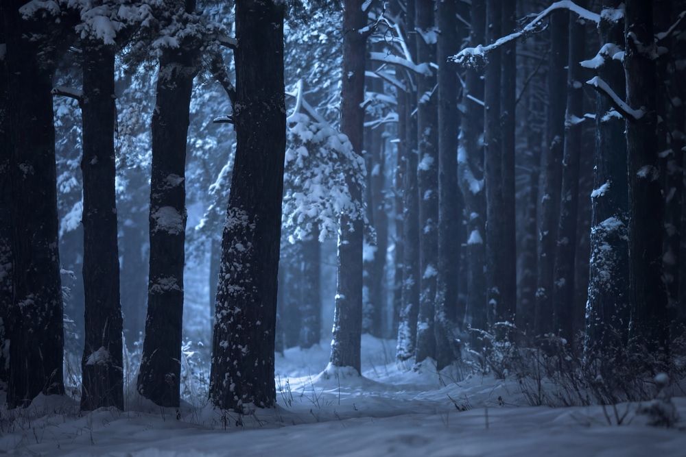 Фотография автора Онучина Юлия