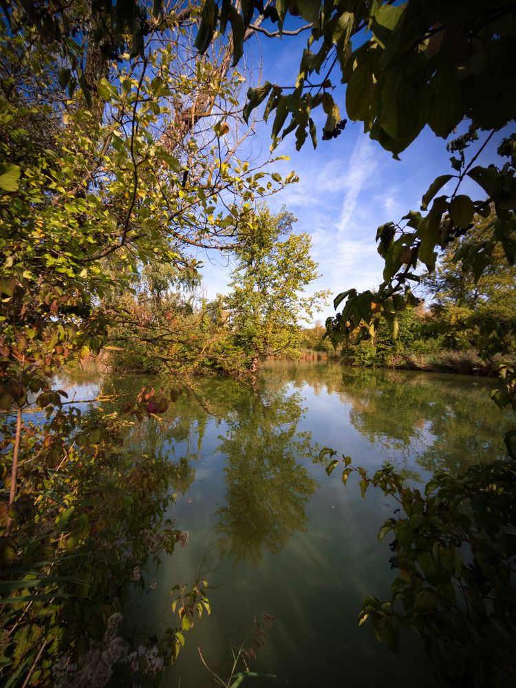 Photograph by Alondra Juárez Ramírez