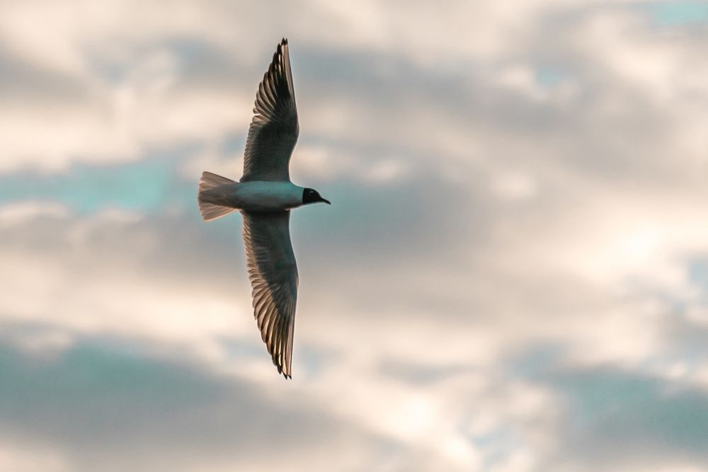 Photograph by Elena Chilikina