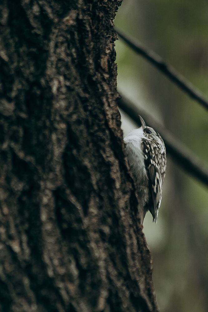 Photograph by Elena Chilikina