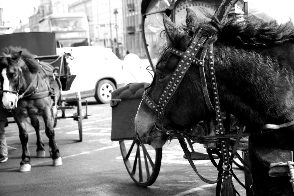 Photograph by Nikita Zorin