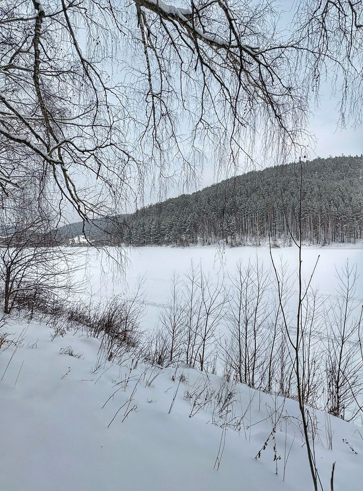 Photograph by Жанна Каргаполова