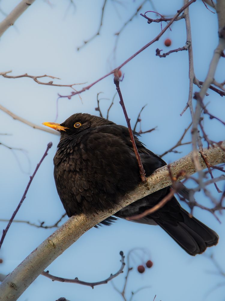 Photograph by Александр Щедрин