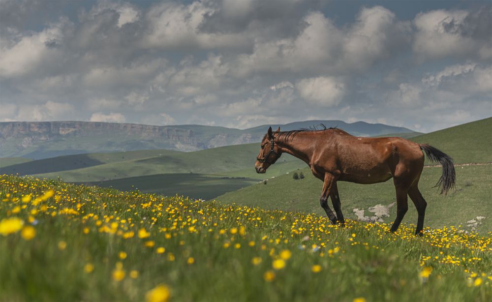 Фотография автора ПУЗЕНКО ДМИТРИЙ