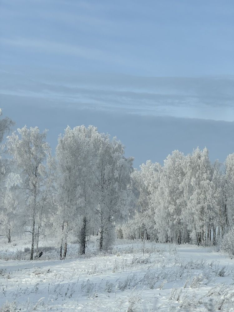 Photograph by Svetlana Tolkunova