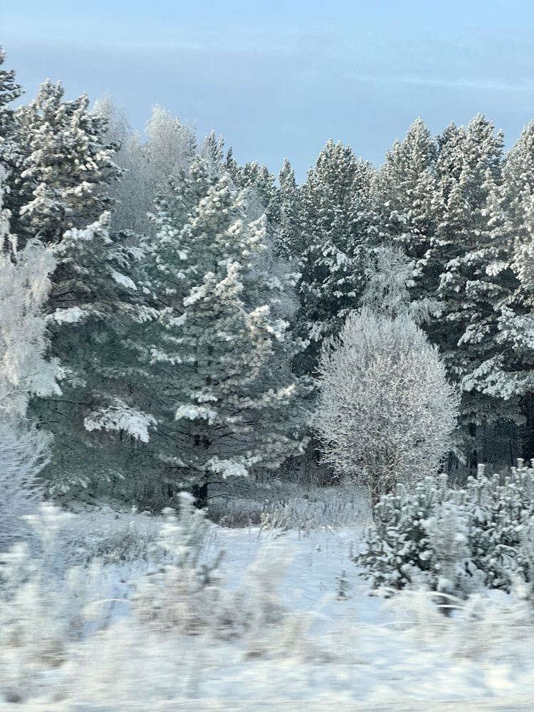 Photograph by Svetlana Tolkunova