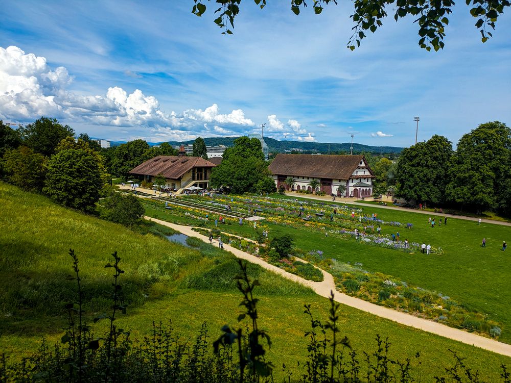 Photograph by Alondra Juárez Ramírez