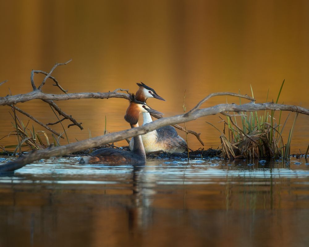 Photograph by Марголин Алексей