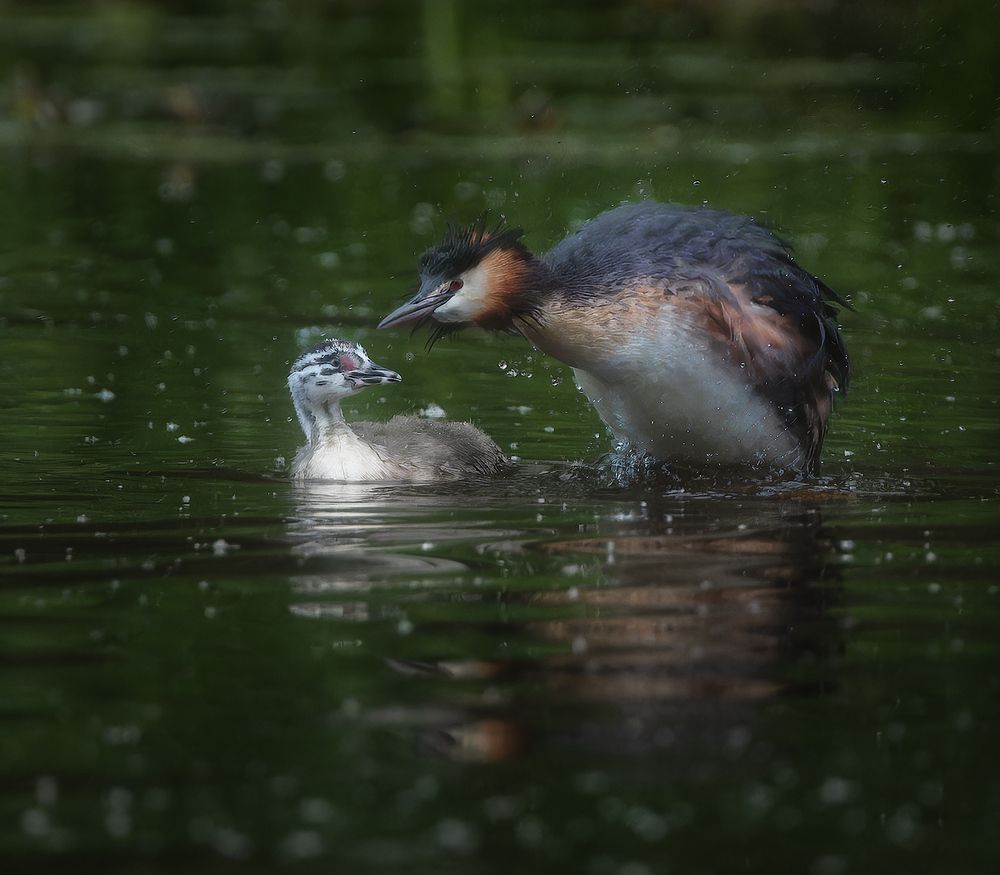 Photograph by Марголин Алексей
