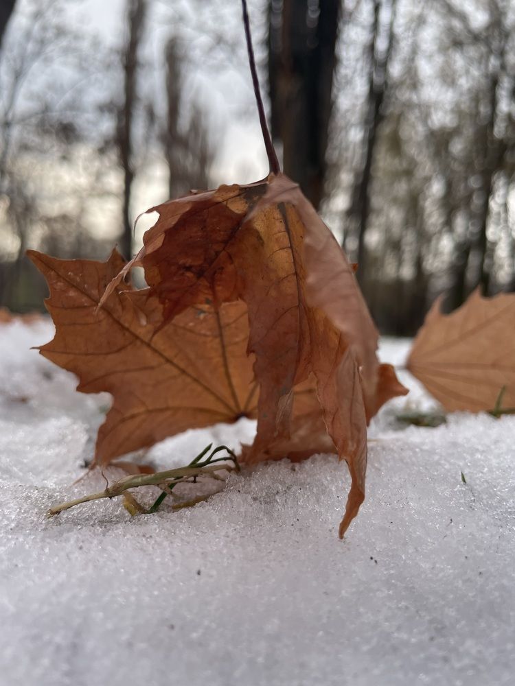 Photograph by Дарья Ларченко