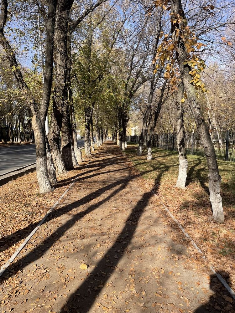 Photograph by Дарья Ларченко