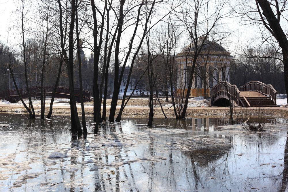 Photograph by Михаил Строев