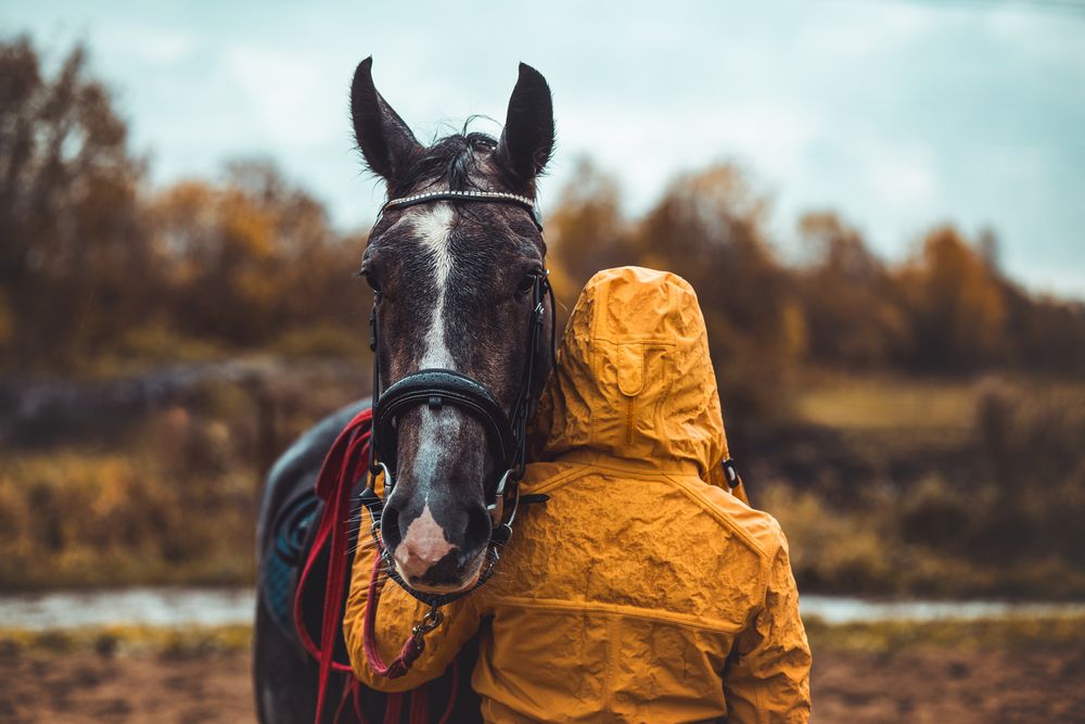 Фотография автора Алина Долгова