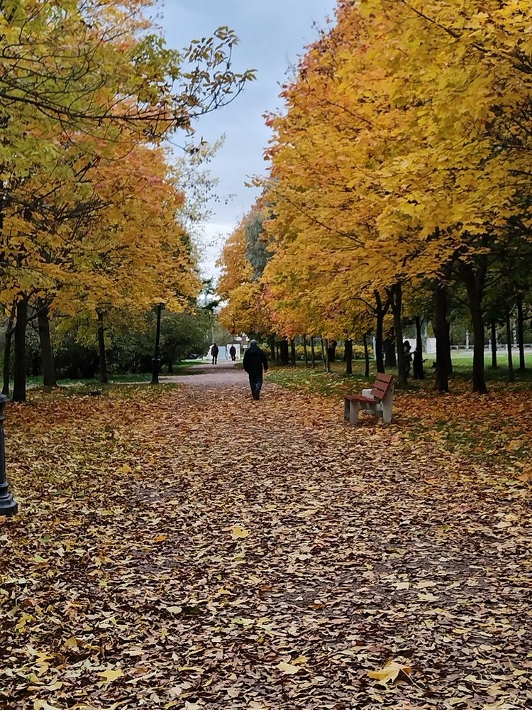 Photograph by Татьяна