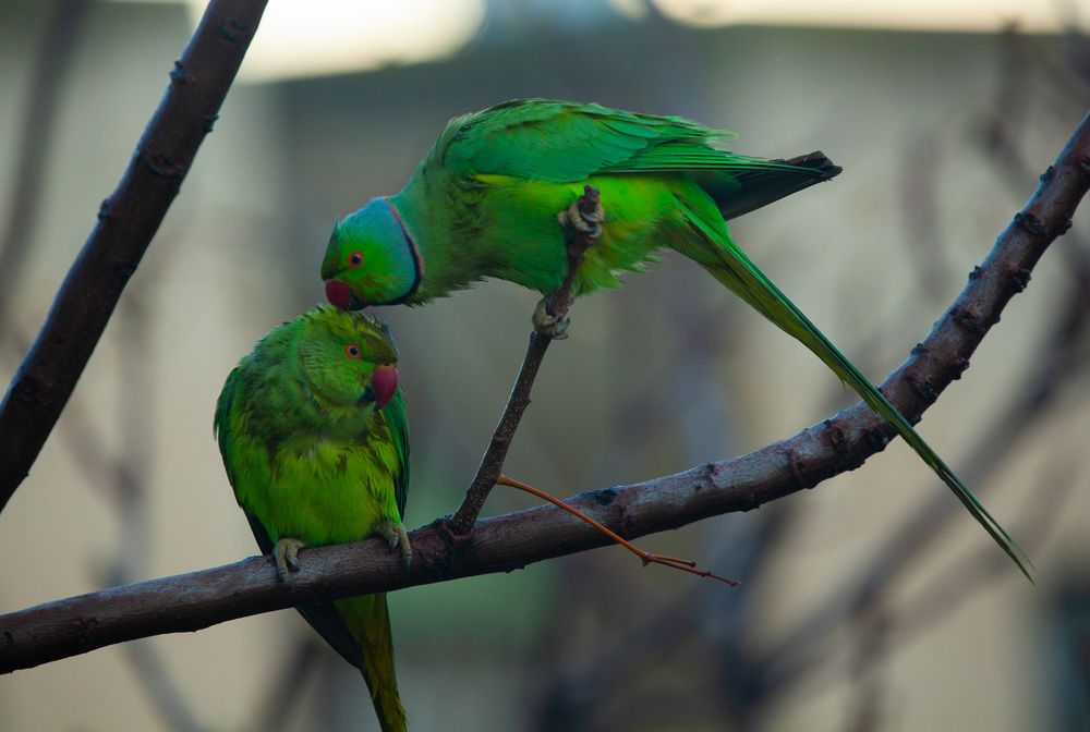 Photograph by Трегубов Лада