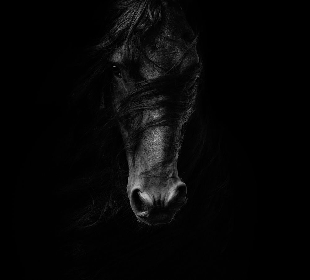 Photograph by Ebeling Samantha Dawn