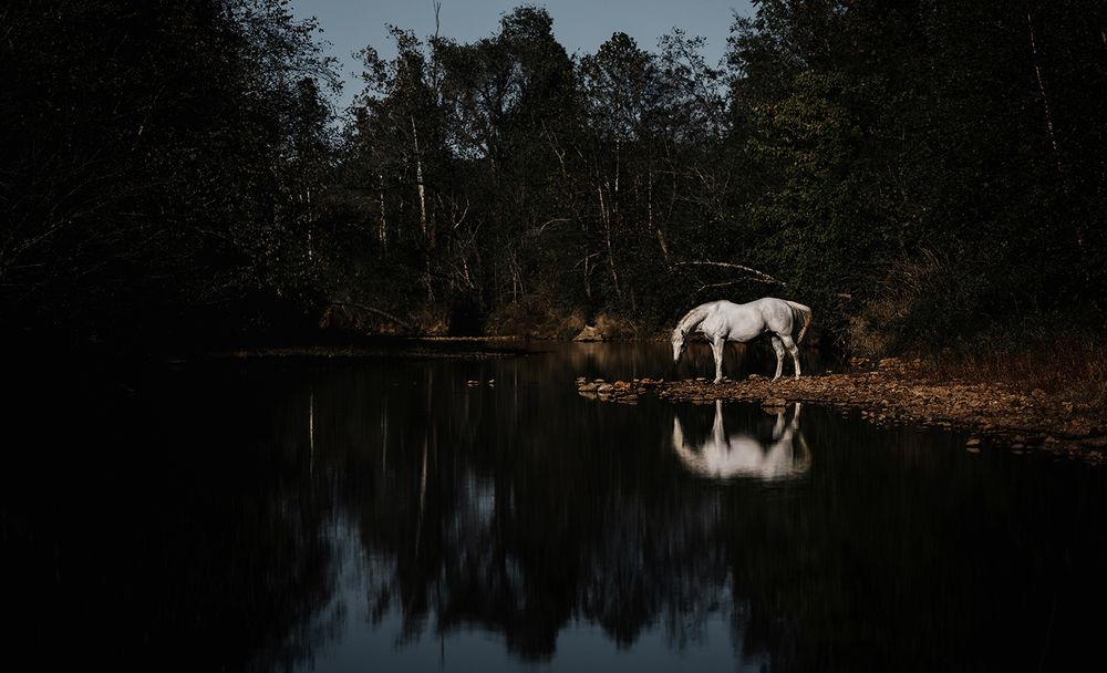 Photograph by Ebeling Samantha Dawn