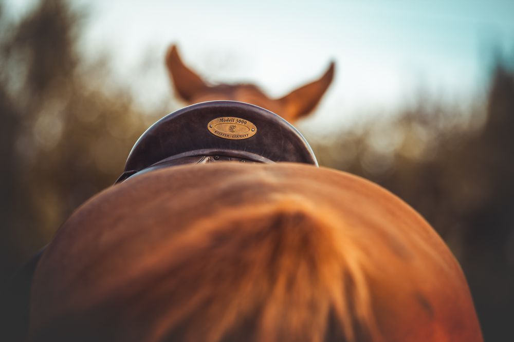 Фотография автора Алина Долгова