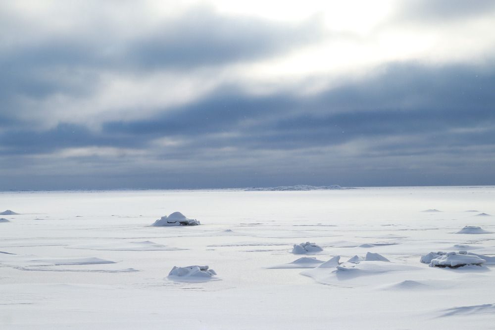 Photograph by Надежда Надежда