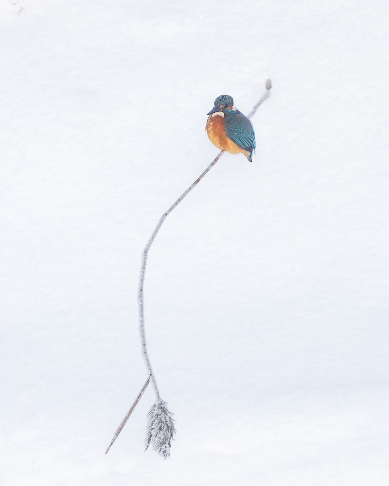 Photograph by Марголин Алексей